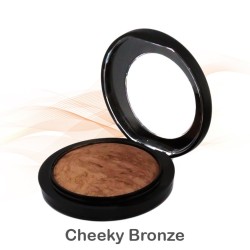 MAC Skinfinish Poudre De Finition